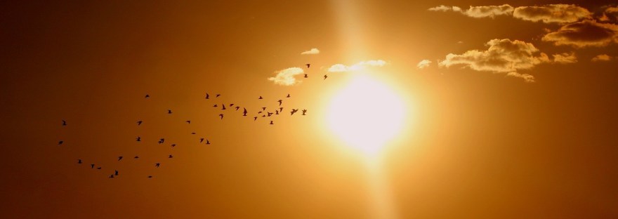 mariemadyholistictherapies.com